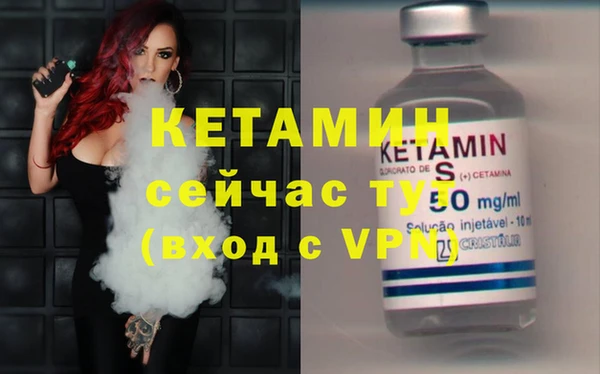 трава Пересвет