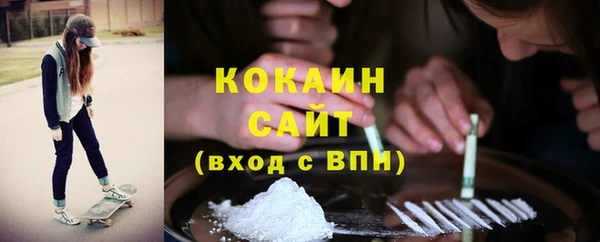 трава Пересвет