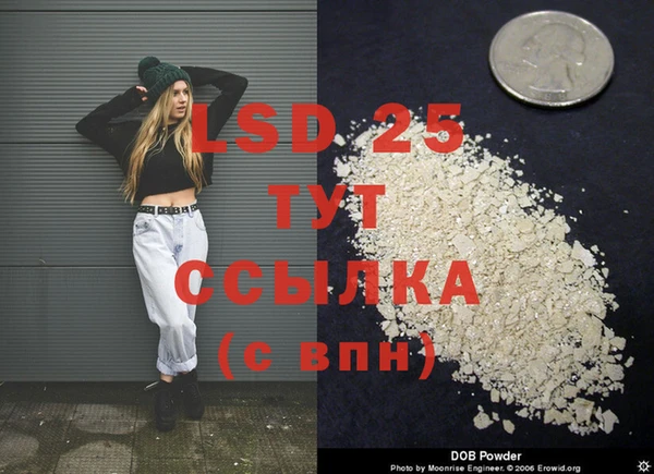 трава Пересвет
