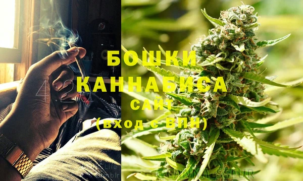 дурь Пестово