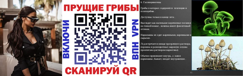 Галлюциногенные грибы мицелий Белёв
